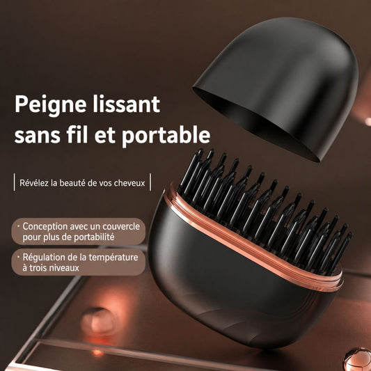 Mini Lisseur Portable Pour Sac à Main